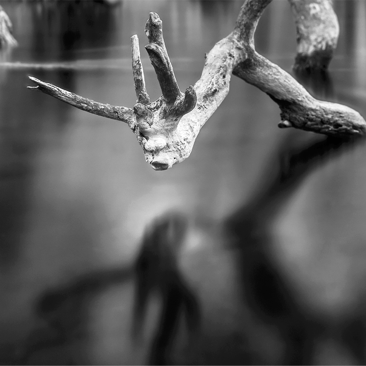 01_Wannseeufer _ Berlin