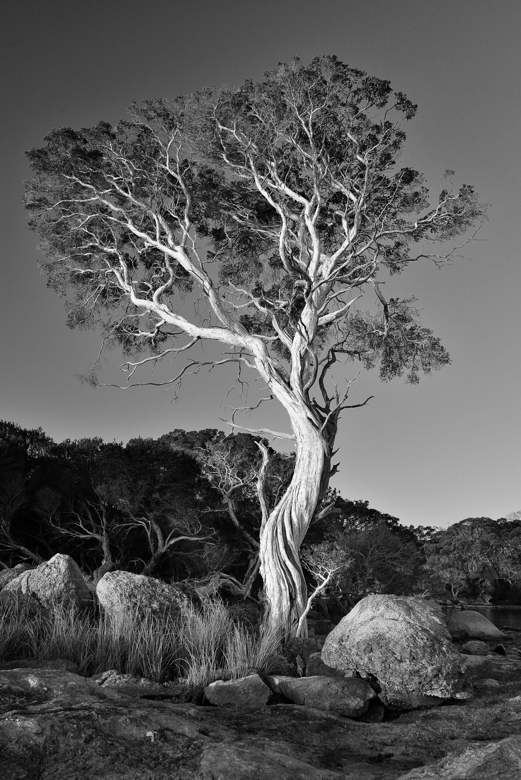 20250317_186Australien_2025