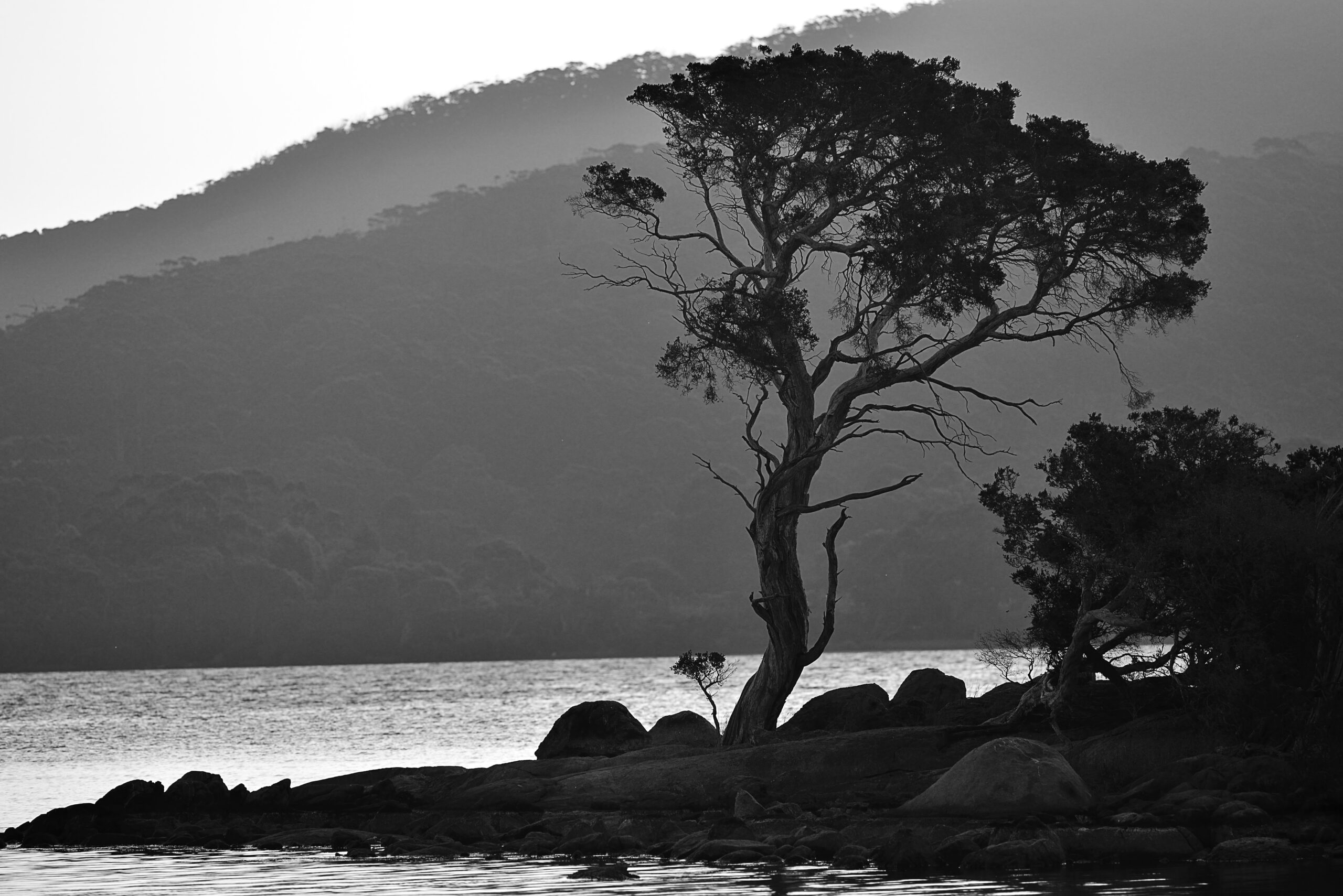 20250317_192aAustralien_2025