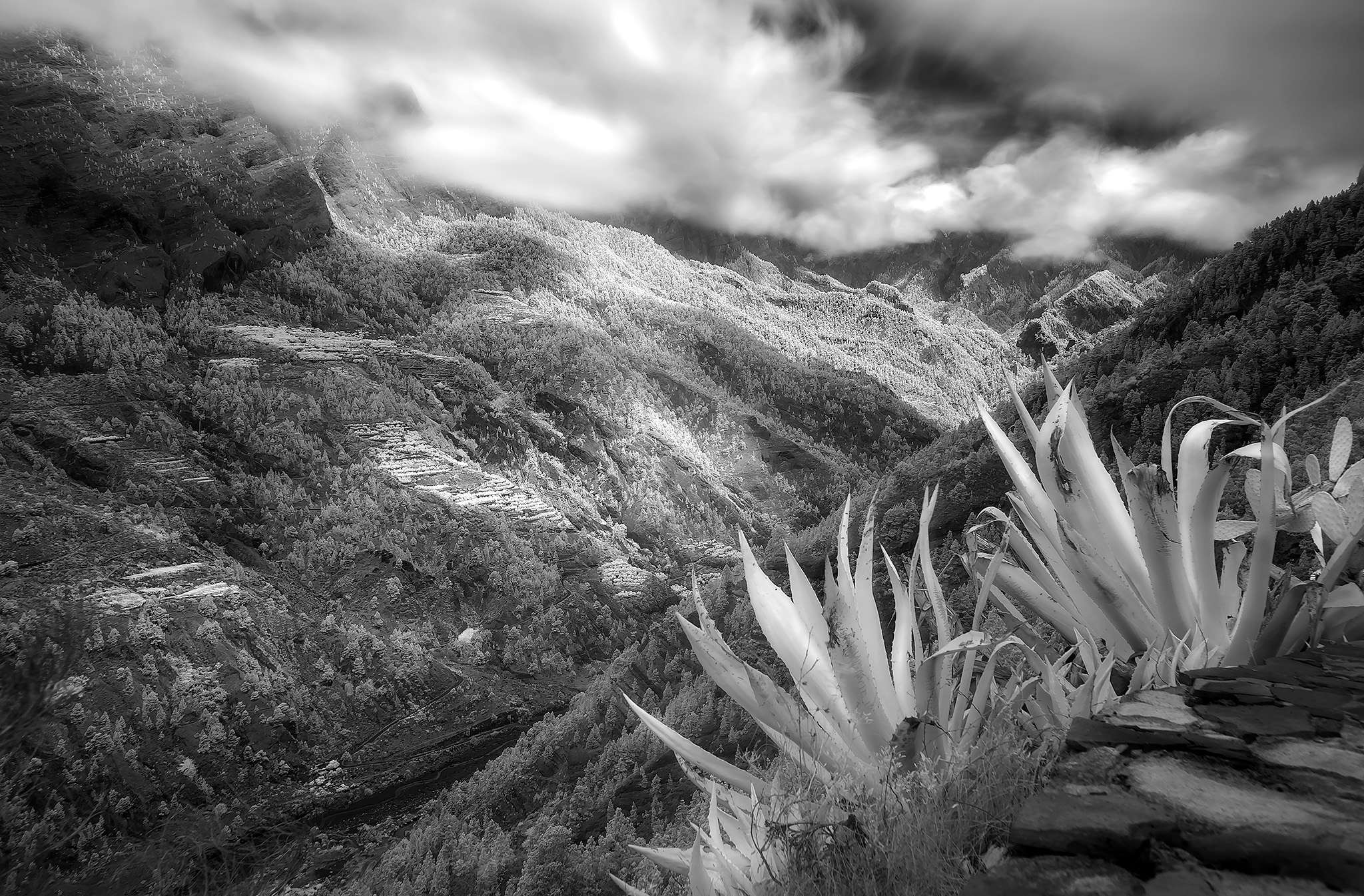 10_Caldere-de-Taburiente-_-La-Palma_scaled