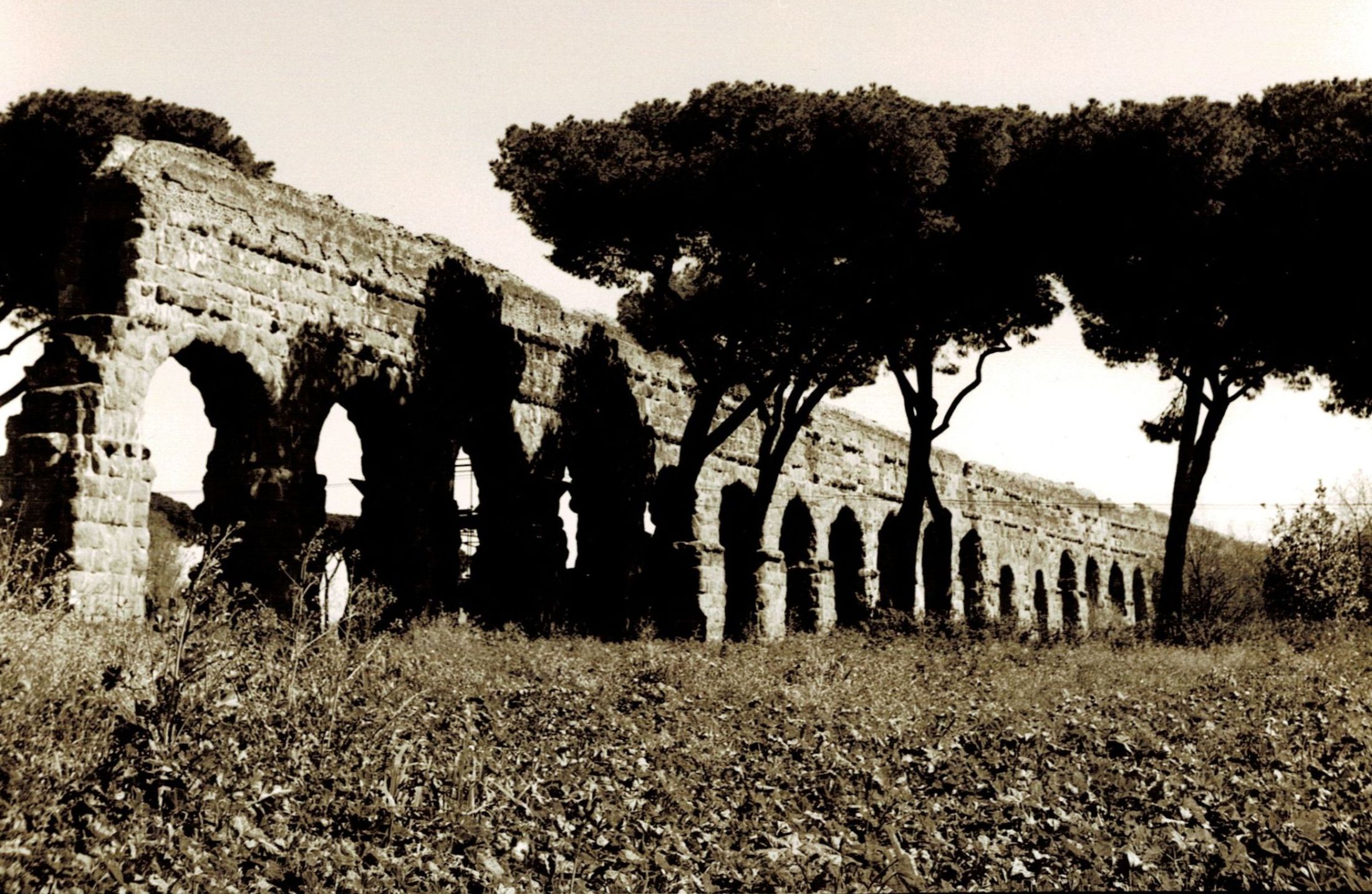 2025-II-8 acquedotto-felice sepia_ak